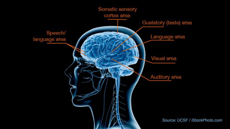 Breakthrough Study Reveals Biological Basis for Sensory Processing Disorders in Kids